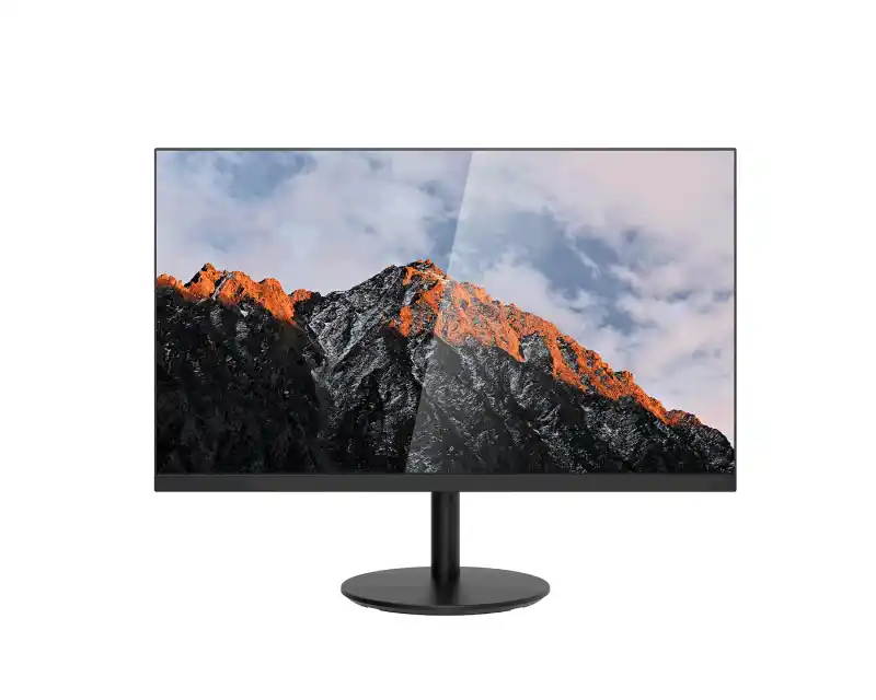 Monitor 24 Dahua