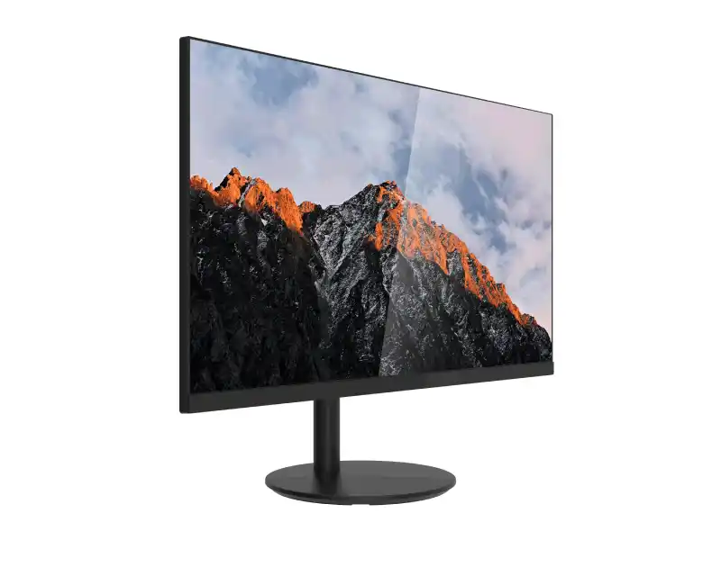 Monitor 24 Dahua