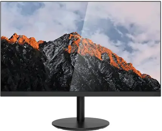 Monitor 24 Dahua